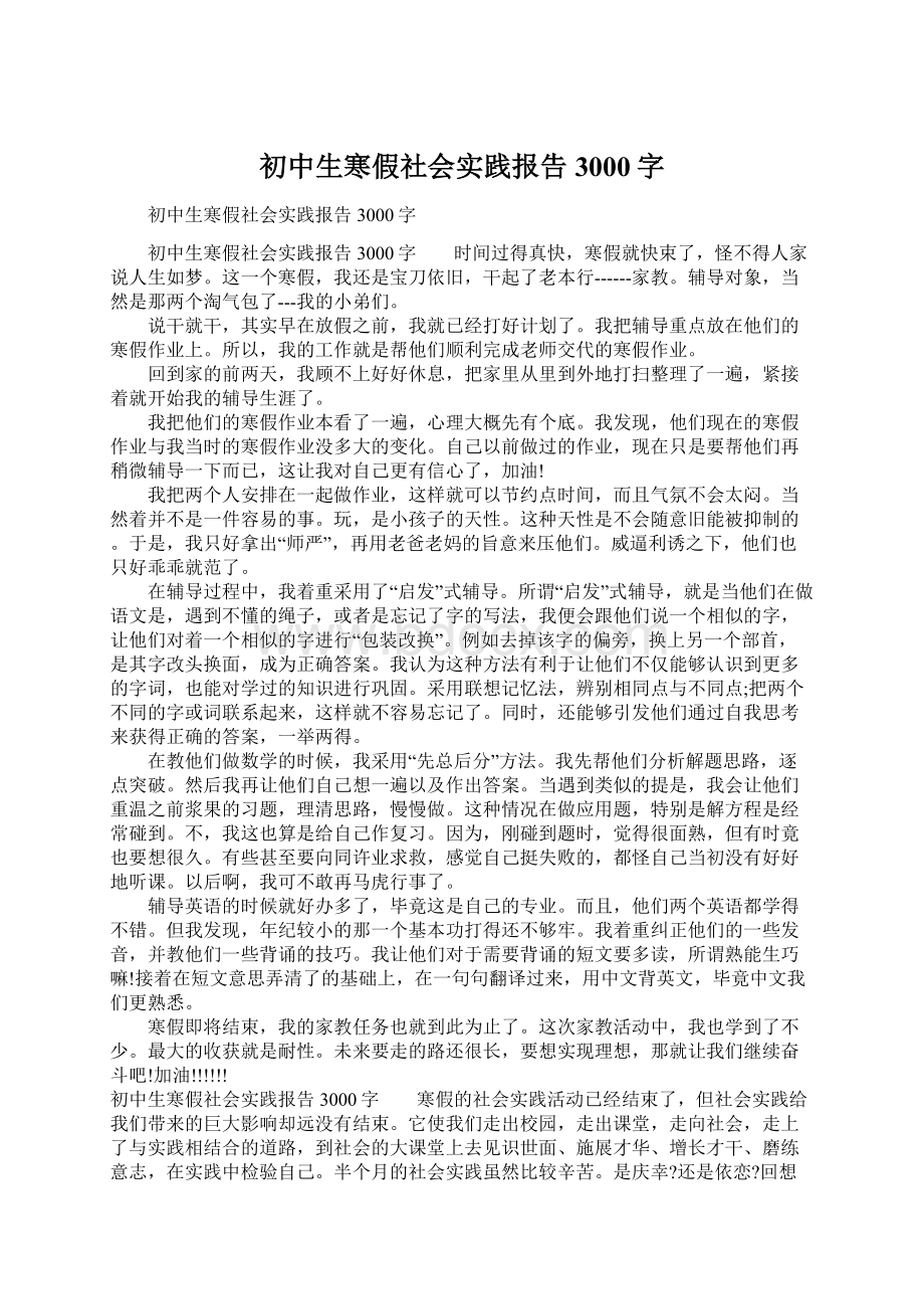 初中生寒假社会实践报告3000字文档格式.docx