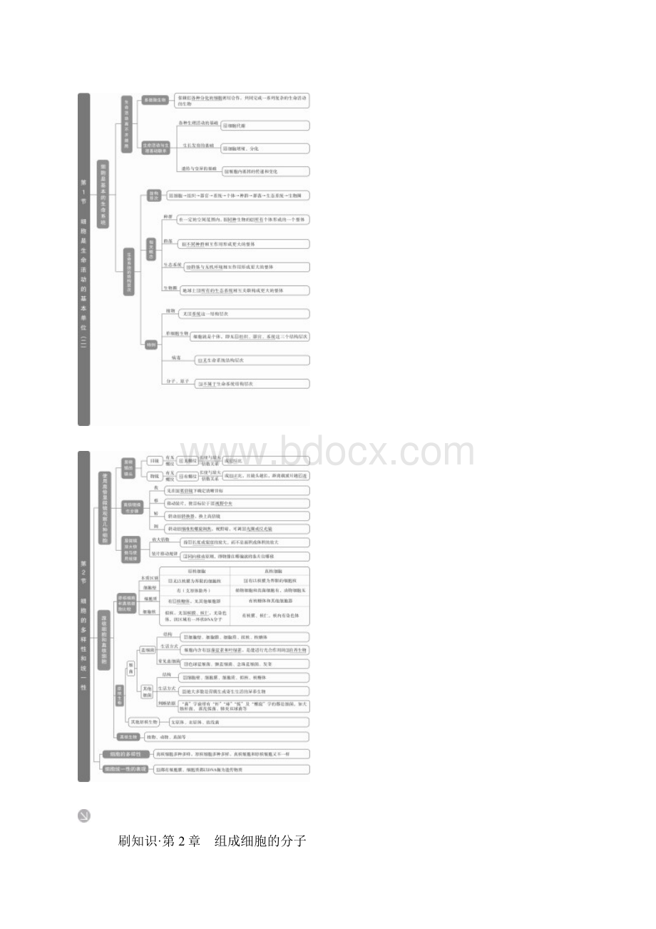 新教材人教版20版生物必修1全册知识点.docx_第2页