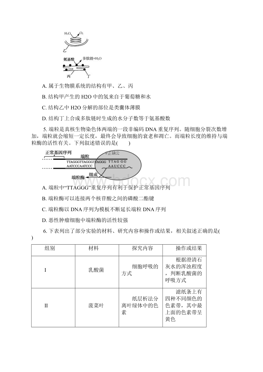 江苏省苏锡常镇四市届高三二模考试试题十一生物.docx_第2页