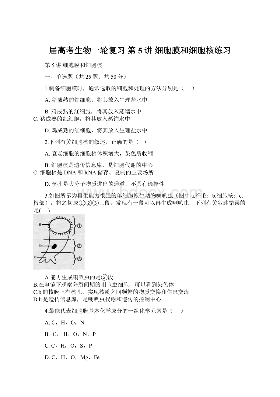届高考生物一轮复习 第5讲 细胞膜和细胞核练习Word下载.docx