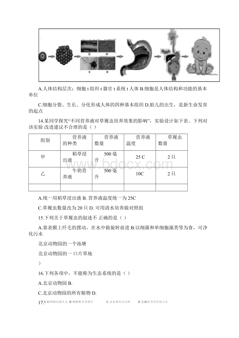 北京市海淀区学年七年级生物上学期期末考试试题新人教版.docx_第3页