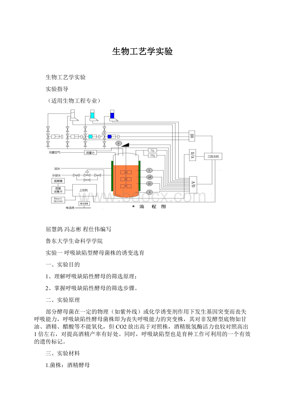 生物工艺学实验.docx