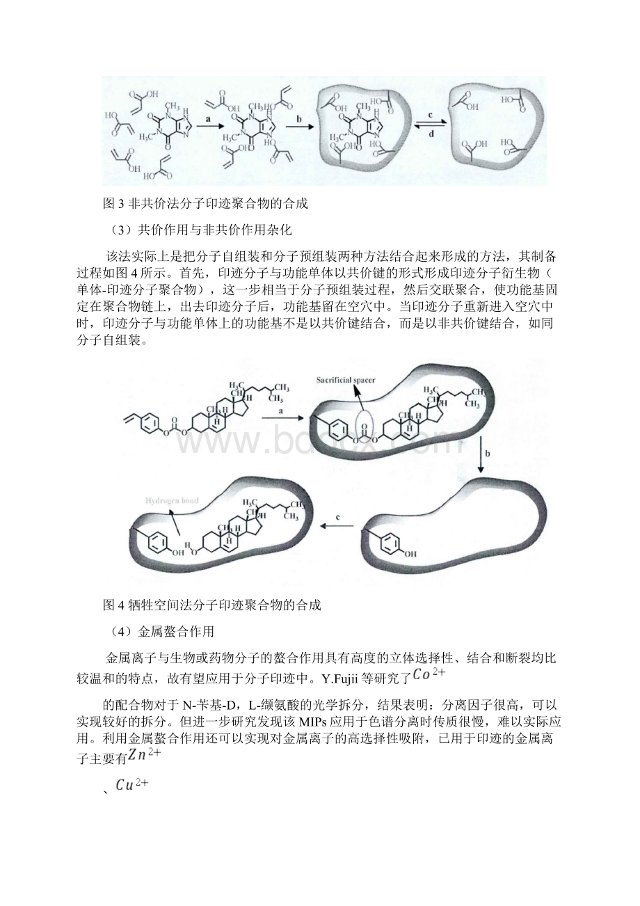 分子印迹技术综述论文.docx_第3页