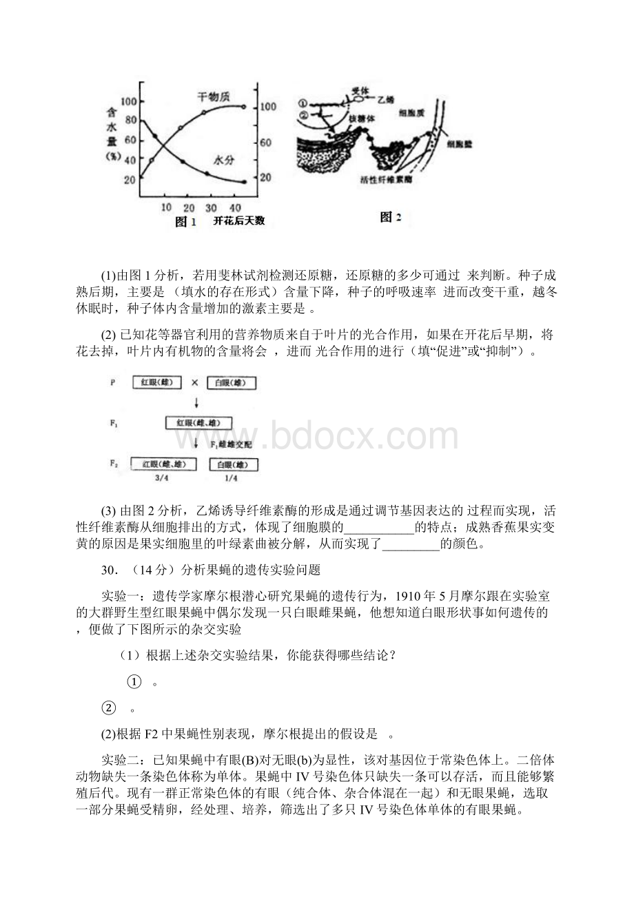 届河南省洛阳市高三第三次统一练习即三模生物试题及答案.docx_第3页