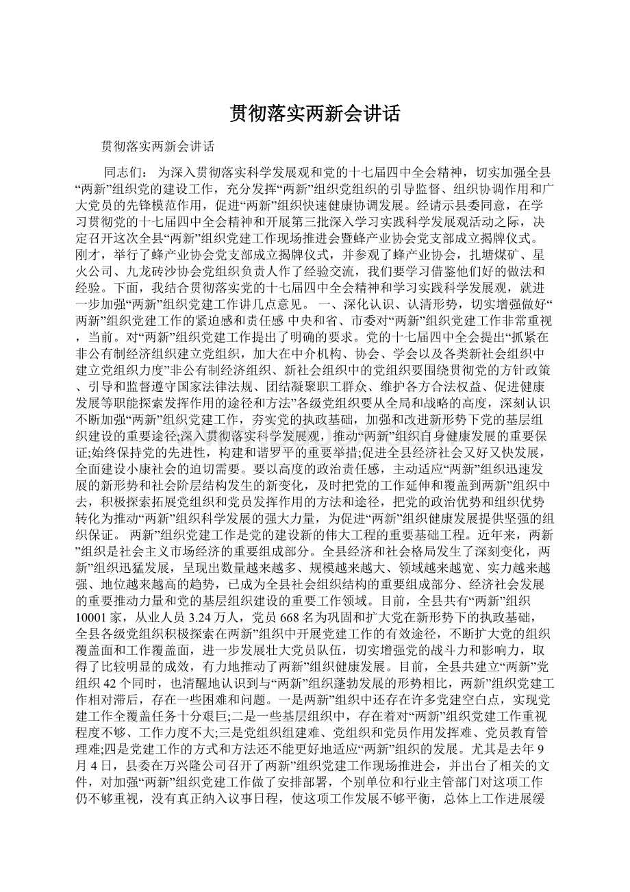 贯彻落实两新会讲话Word文档下载推荐.docx