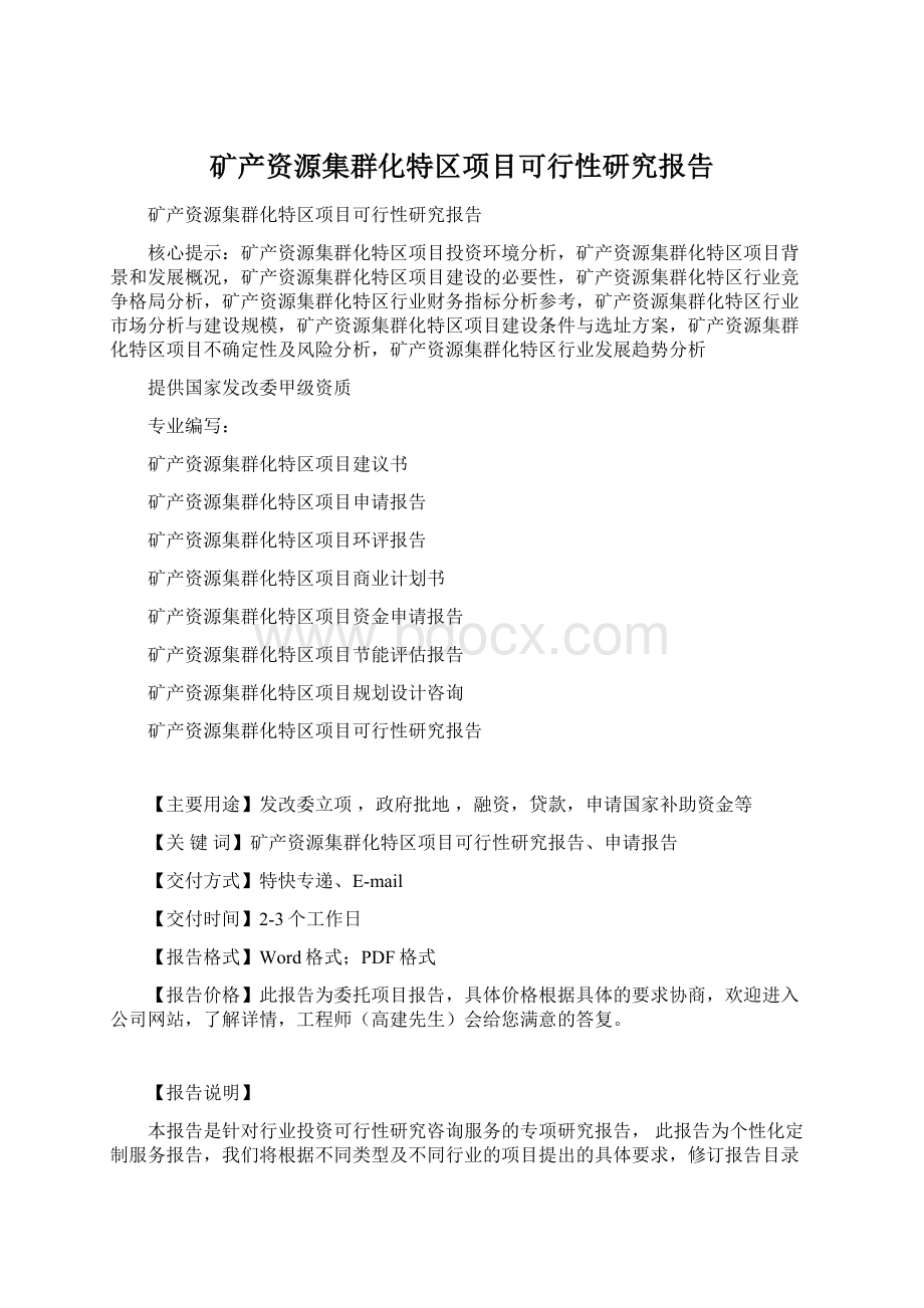 矿产资源集群化特区项目可行性研究报告文档格式.docx_第1页