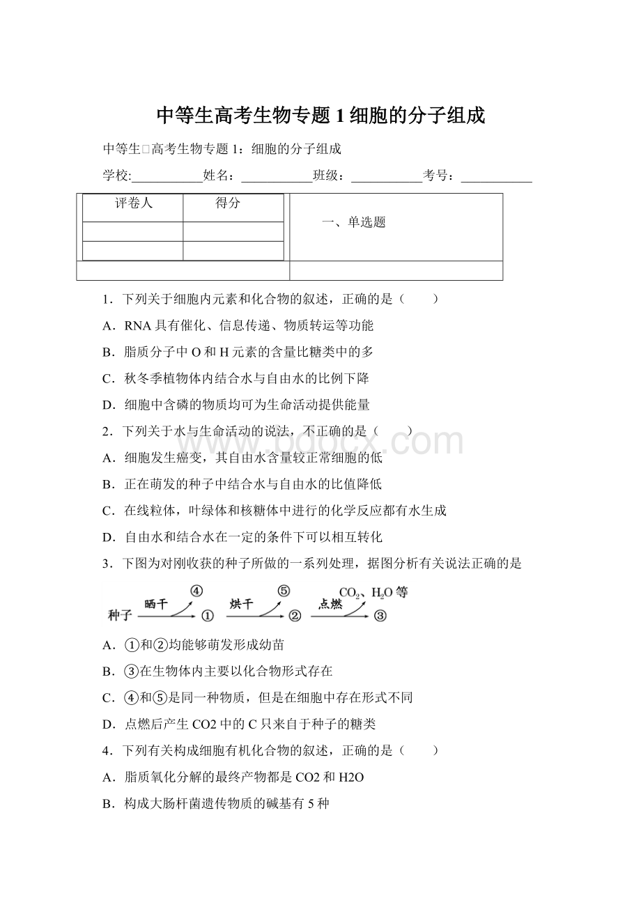 中等生高考生物专题1细胞的分子组成Word下载.docx