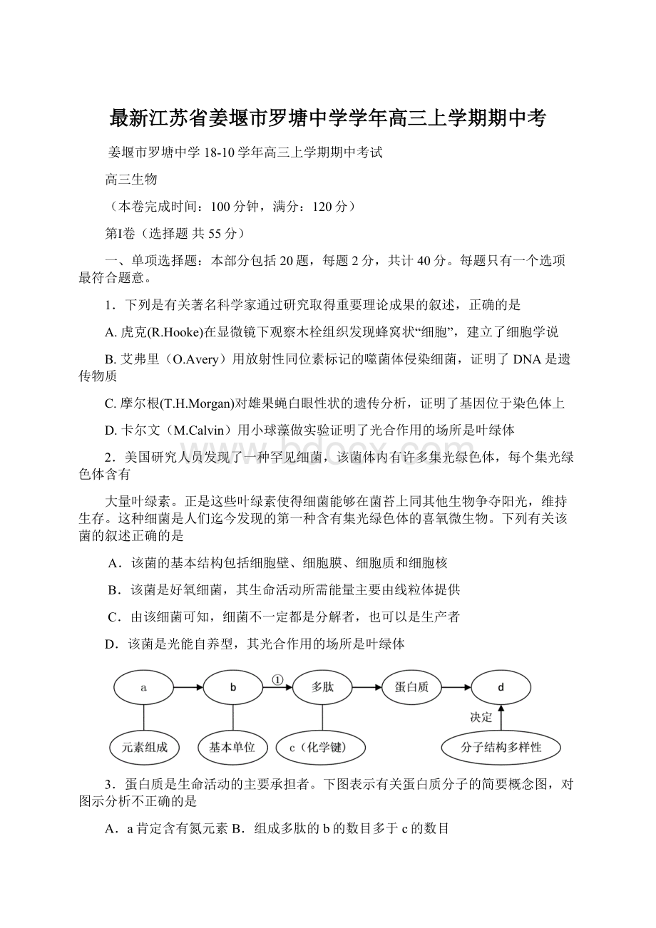 最新江苏省姜堰市罗塘中学学年高三上学期期中考.docx_第1页