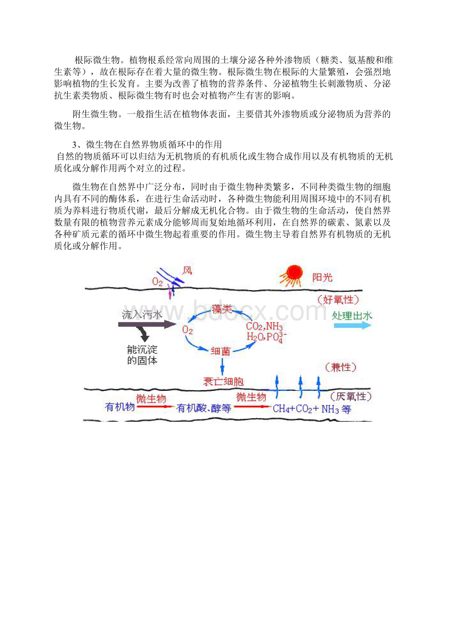 白酒酿造中微生物的相关作用.docx_第3页