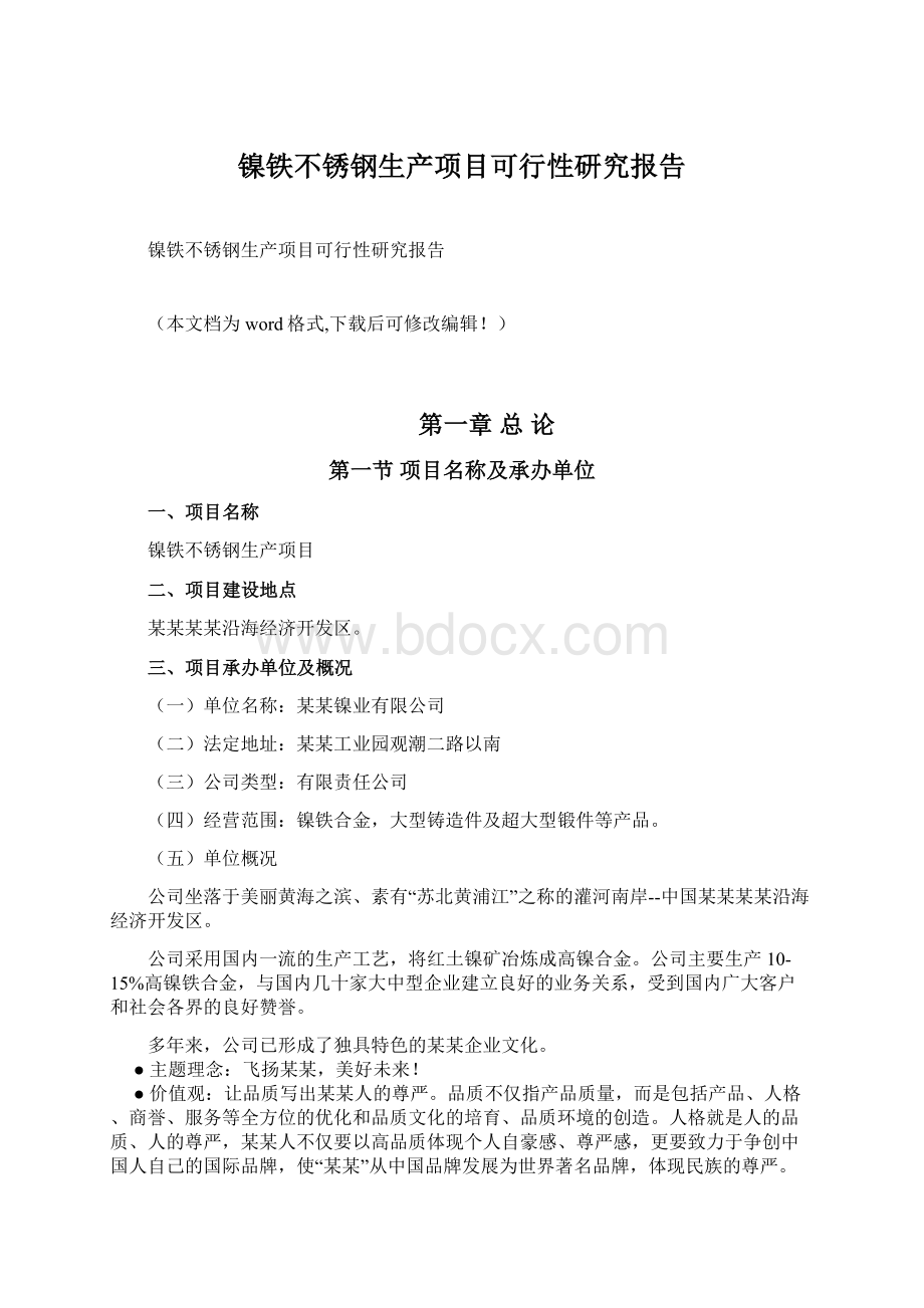 镍铁不锈钢生产项目可行性研究报告.docx