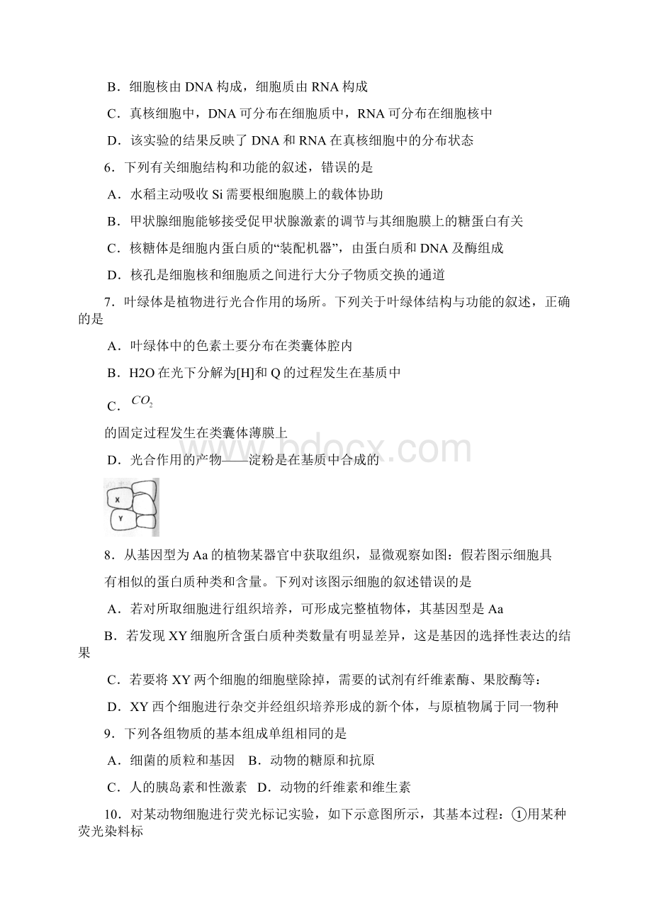 天津市耀华中学一学年度第一学期高三年级暑假验收考生物试题Word文档格式.docx_第2页