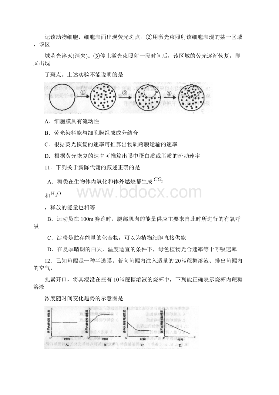 天津市耀华中学一学年度第一学期高三年级暑假验收考生物试题Word文档格式.docx_第3页