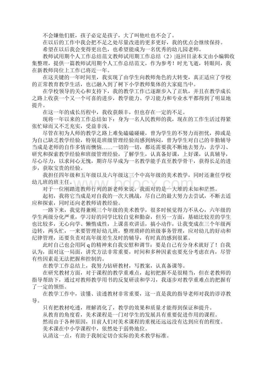 教师试用期工作总结4篇.docx_第2页