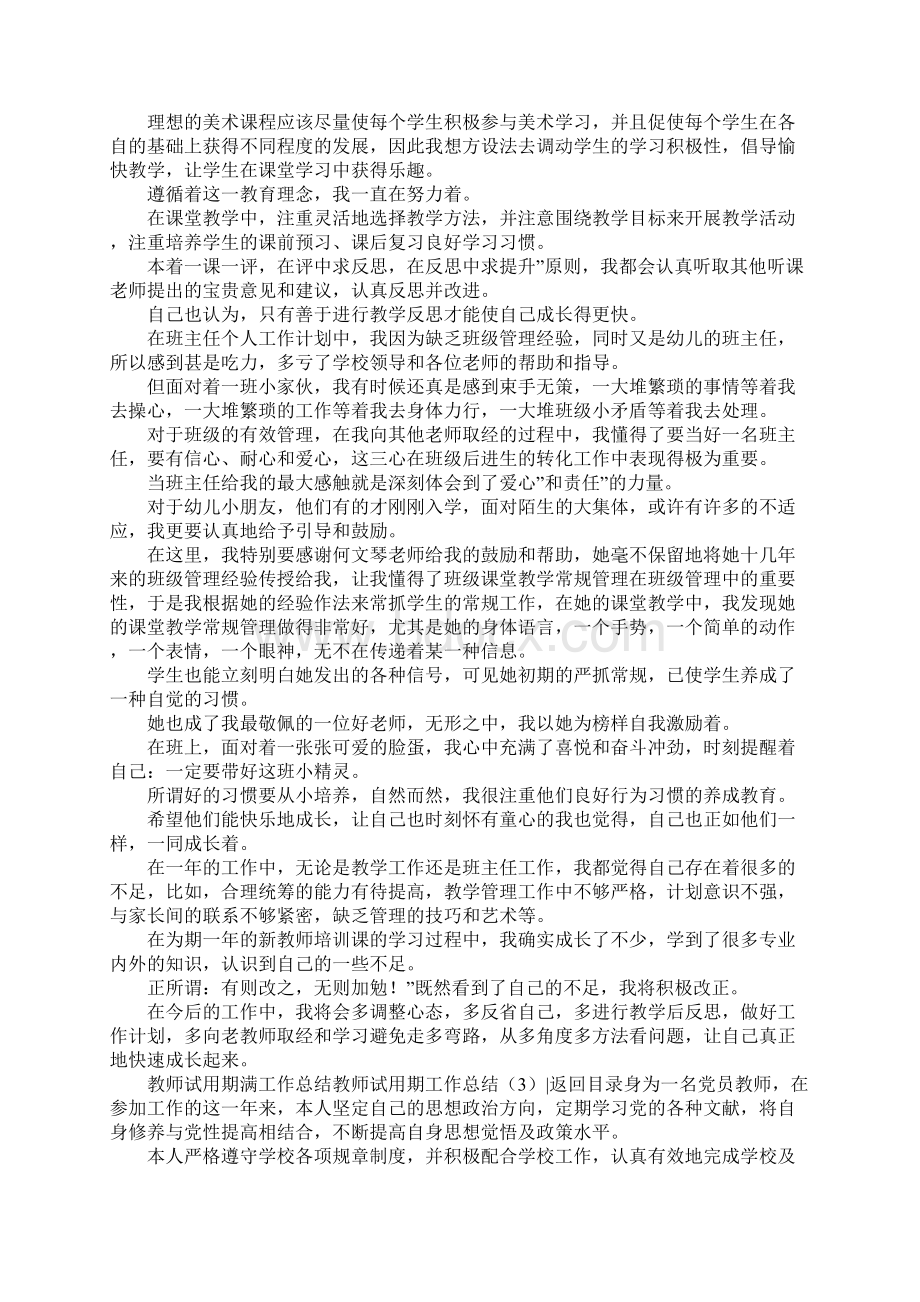 教师试用期工作总结4篇.docx_第3页