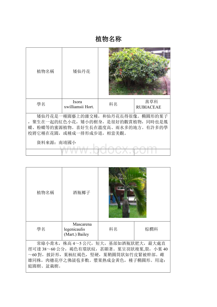 植物名称.docx_第1页