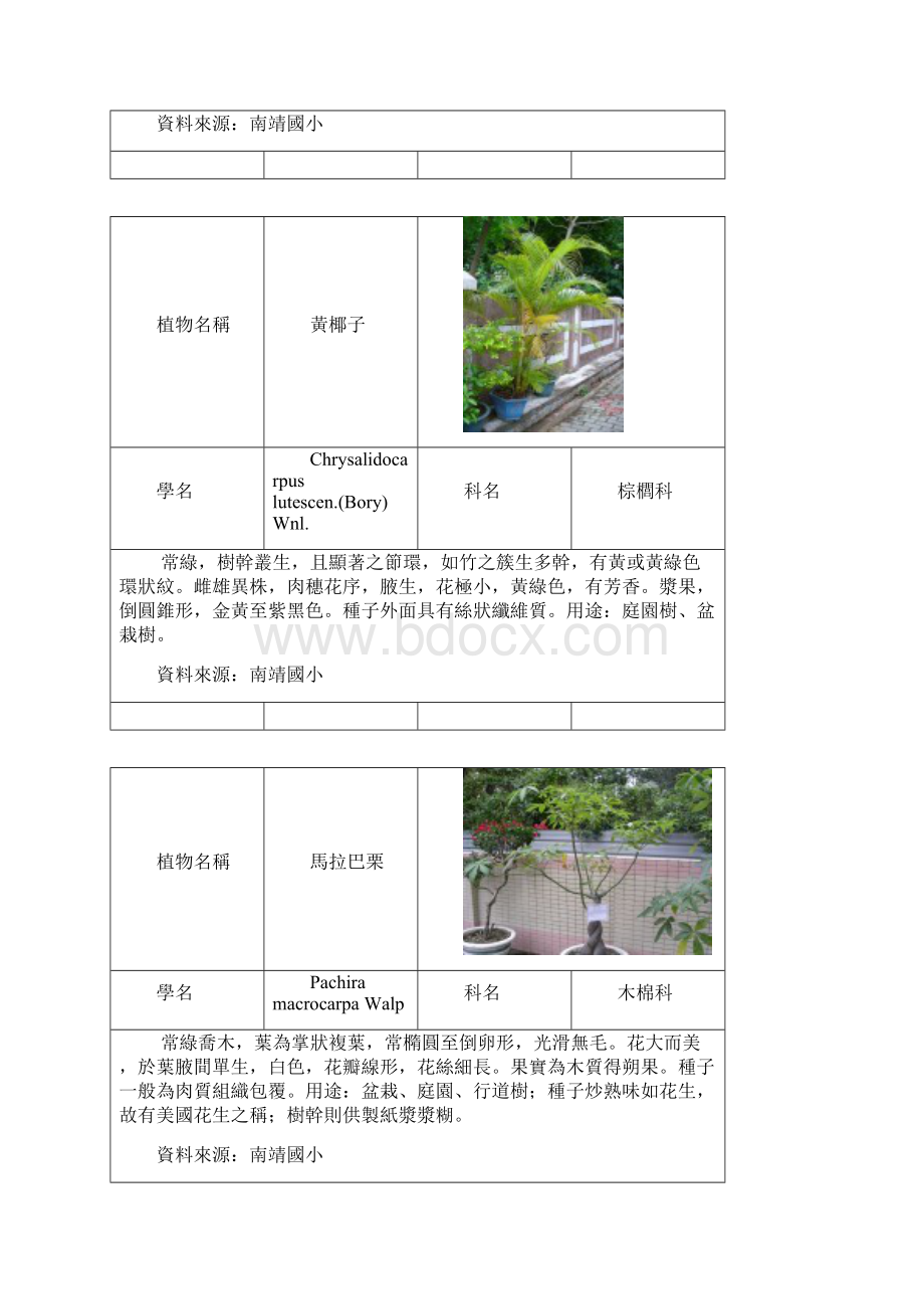 植物名称.docx_第2页