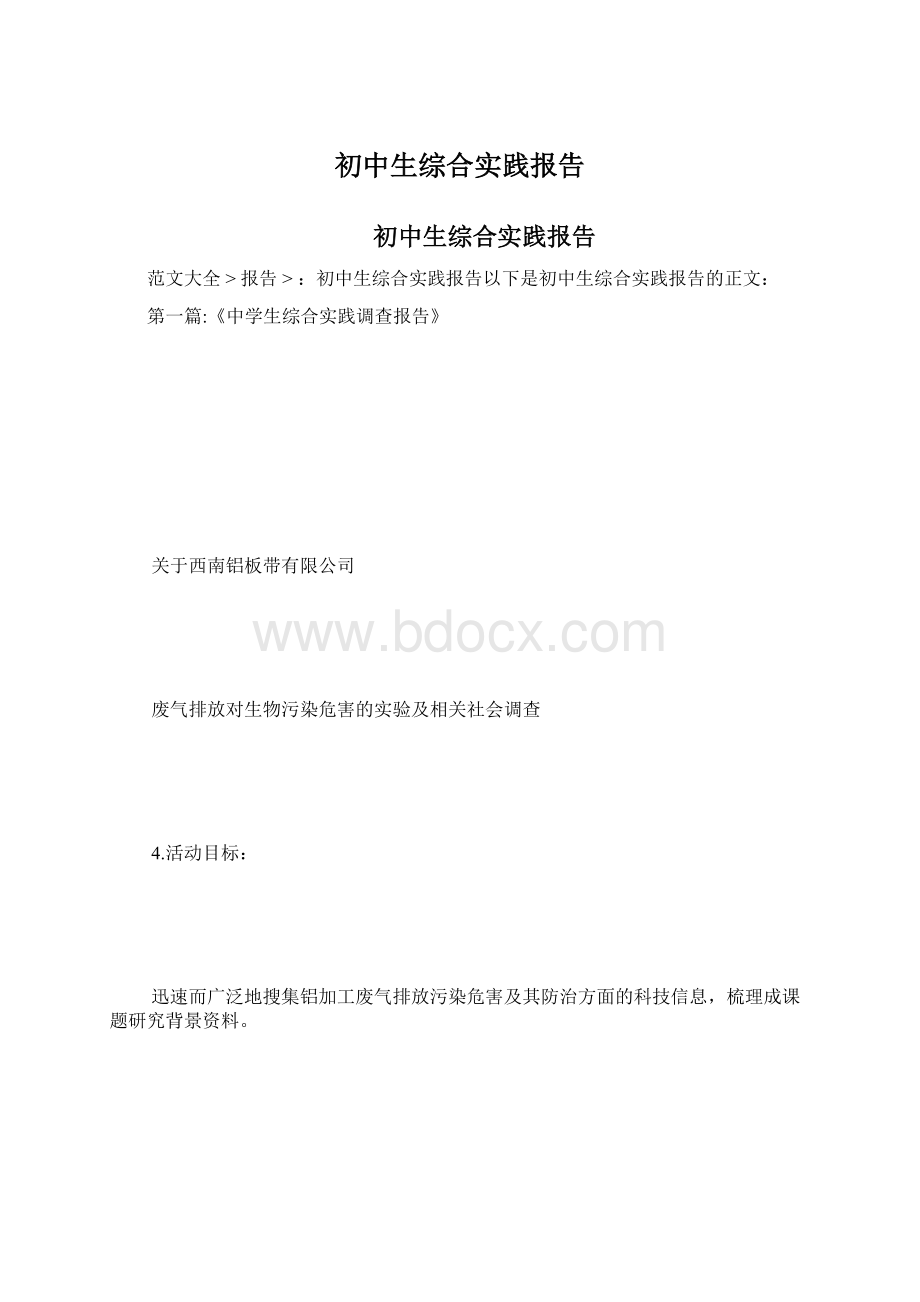 初中生综合实践报告.docx_第1页