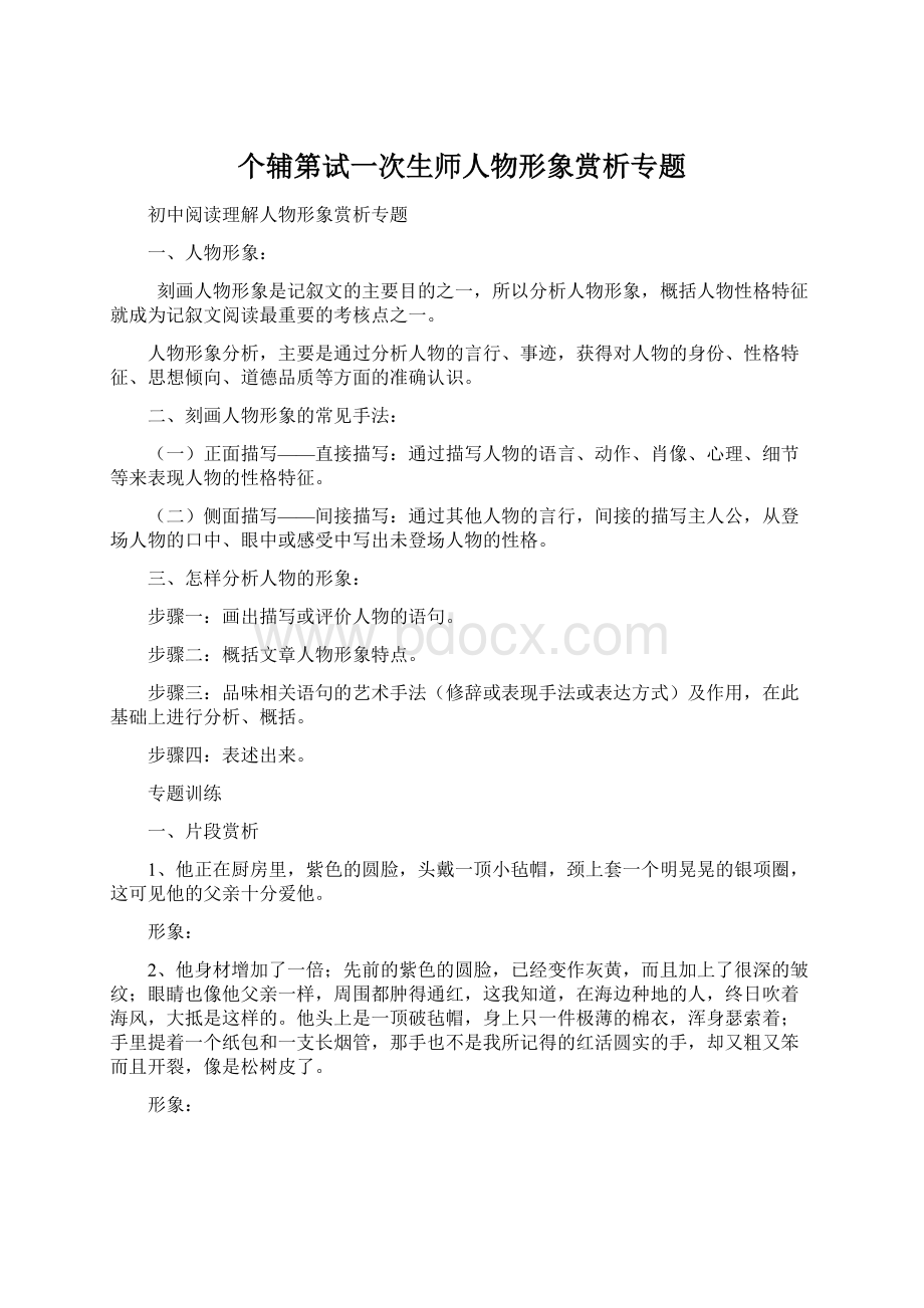 个辅第试一次生师人物形象赏析专题.docx_第1页