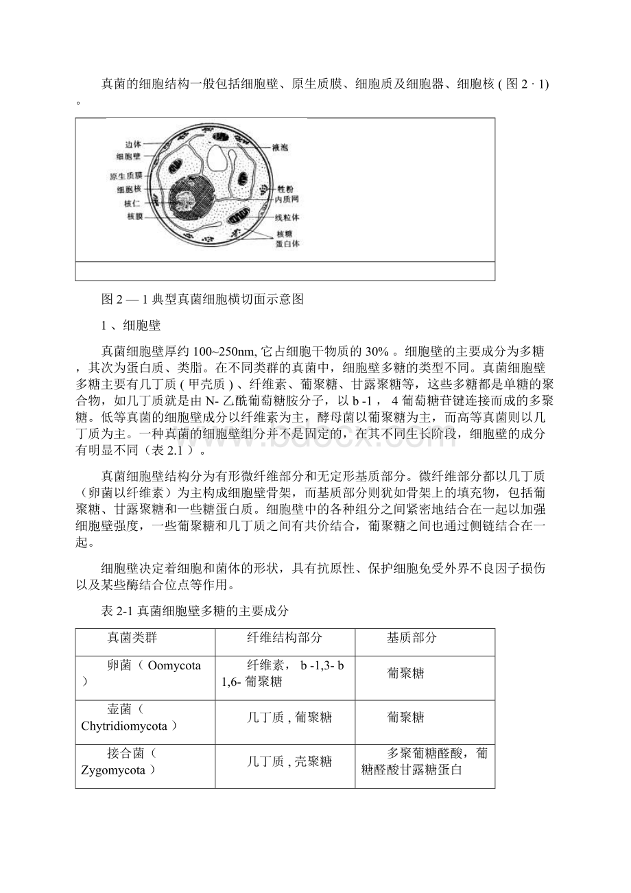 第二章真核微生物.docx_第2页