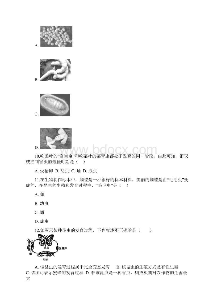 学年八年级生物下册第七单元第一章第二节昆虫的生殖和发育同步测试新版新人教版.docx_第3页