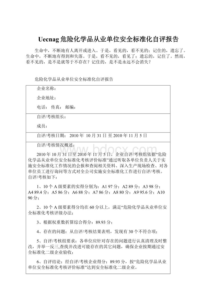 Uecnag危险化学品从业单位安全标准化自评报告文档格式.docx