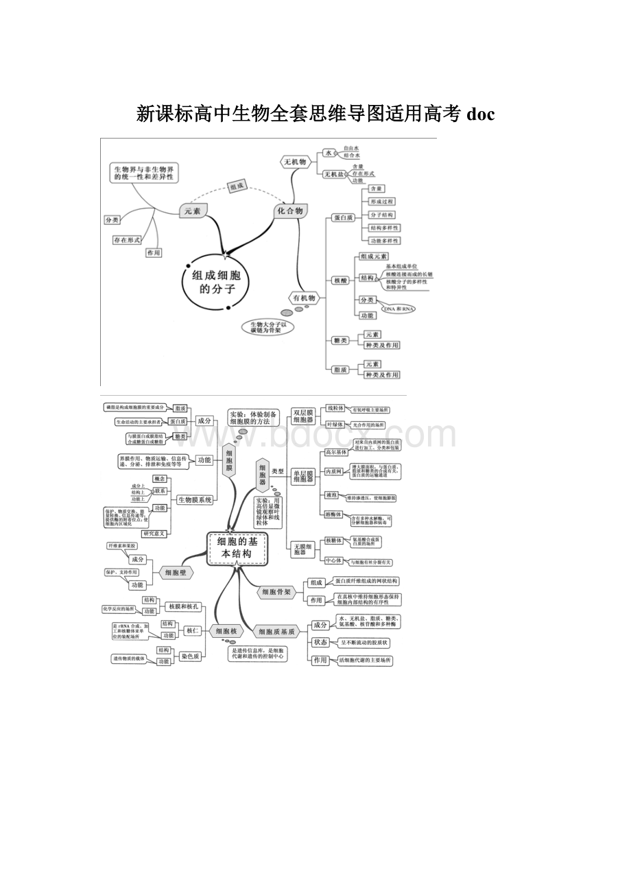 新课标高中生物全套思维导图适用高考doc.docx_第1页