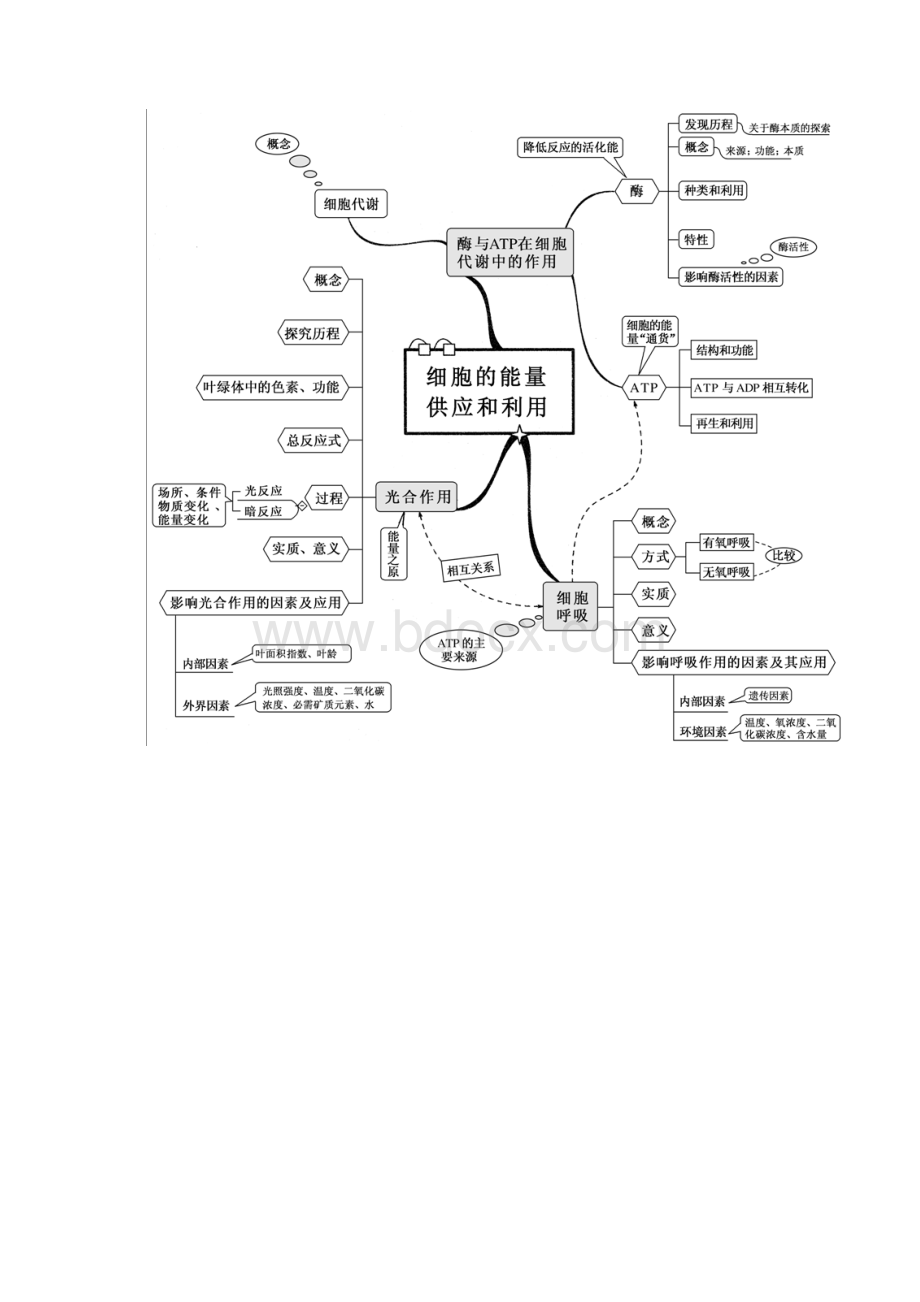 新课标高中生物全套思维导图适用高考doc.docx_第3页