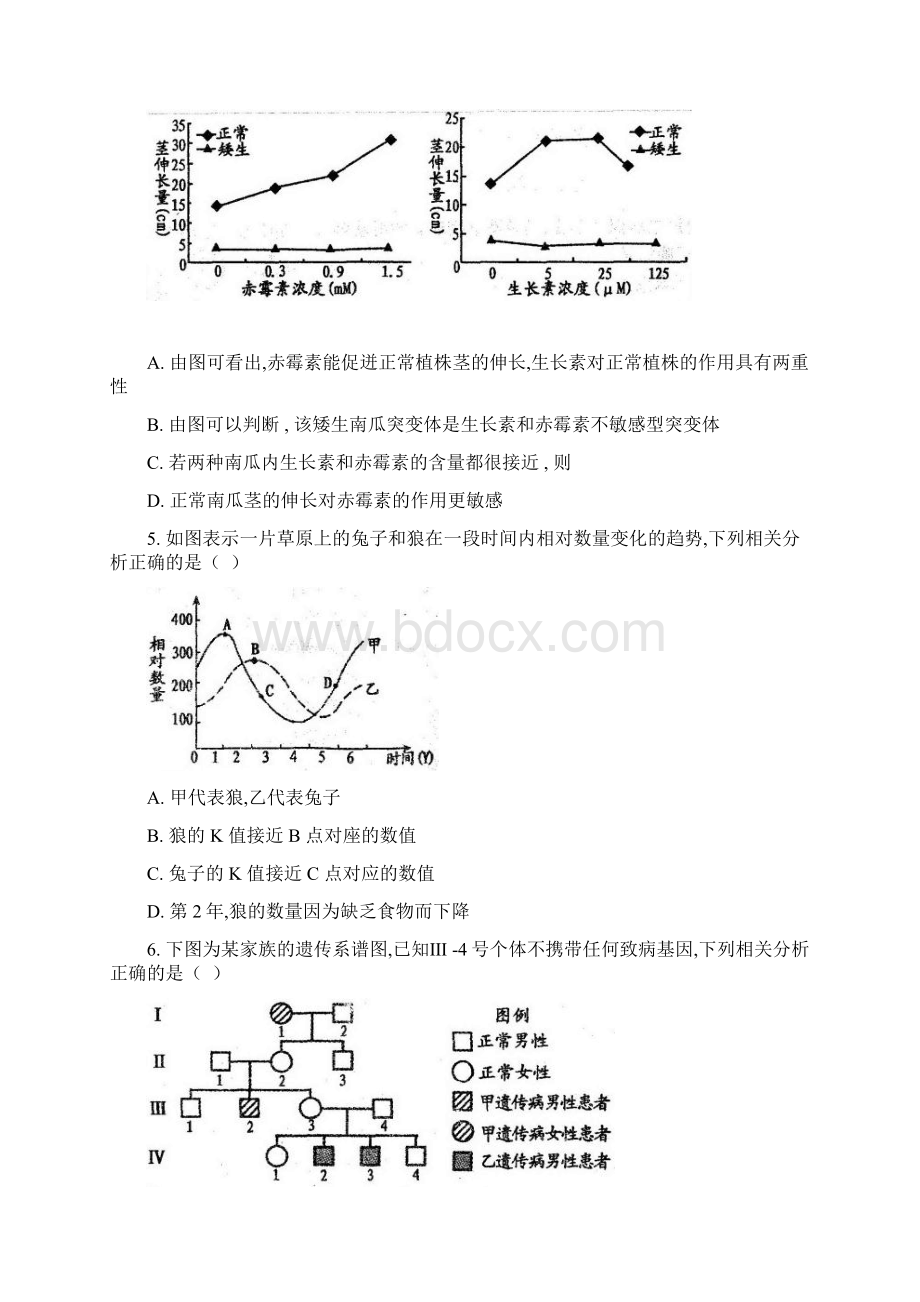 江西省南昌市届高三第一次模拟考试理科综合.docx_第2页