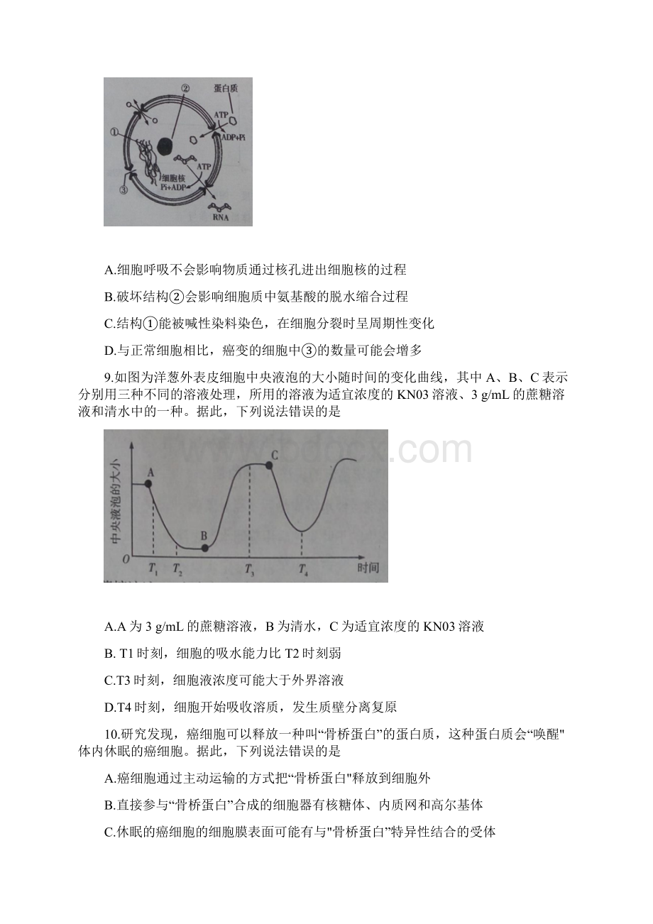 河南省焦作市学年高一上学期期末统考生物试.docx_第3页