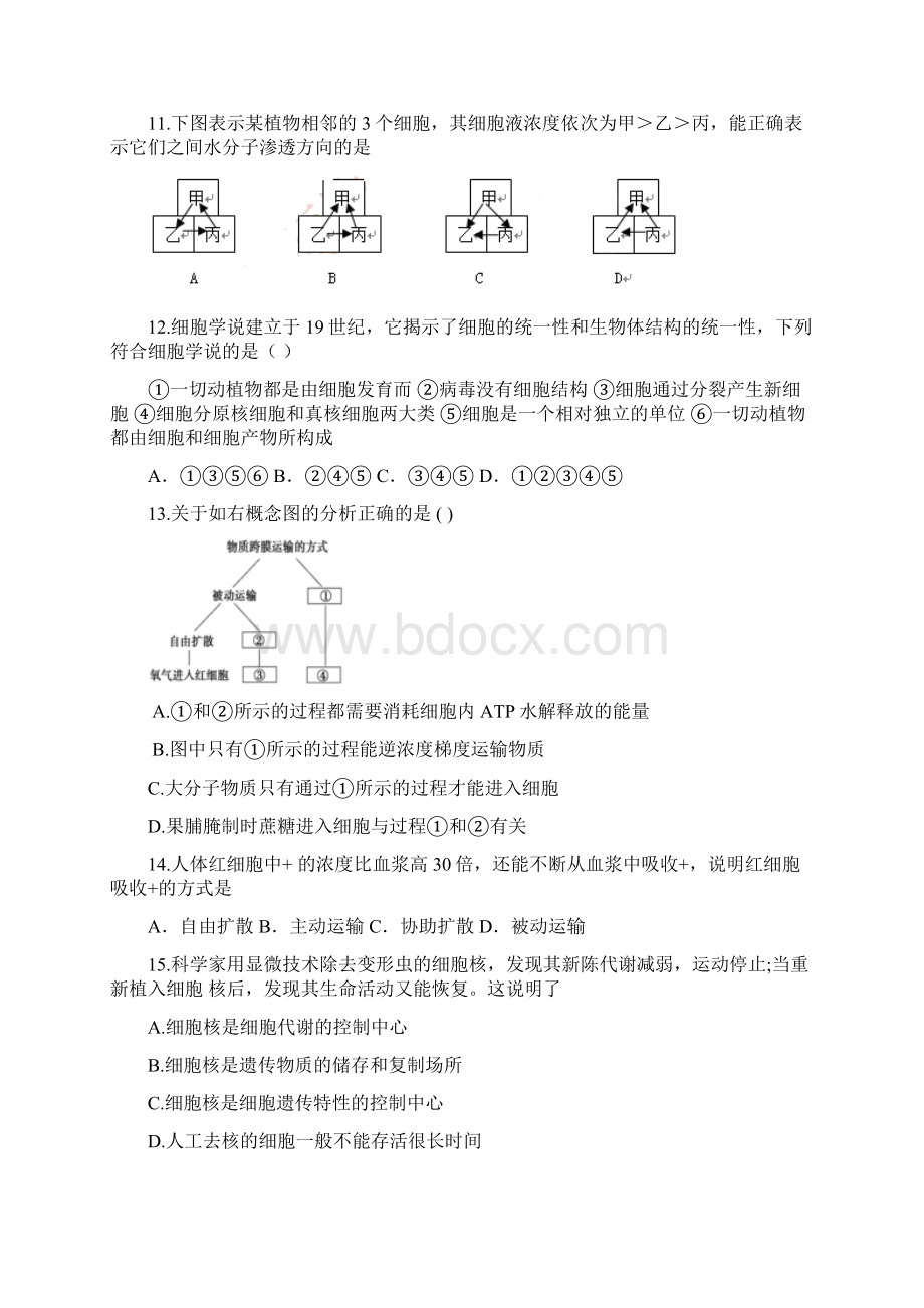 最新内蒙古通辽市科尔沁区高一上册第一学期末考试生物试题有答案docWord格式文档下载.docx_第3页