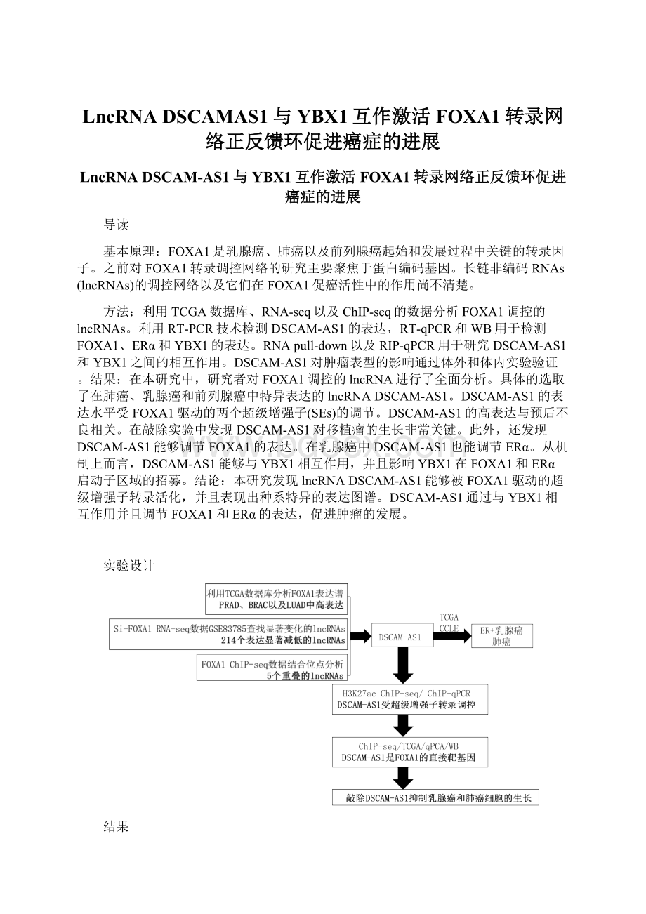 LncRNA DSCAMAS1与YBX1互作激活FOXA1转录网络正反馈环促进癌症的进展Word文档下载推荐.docx_第1页