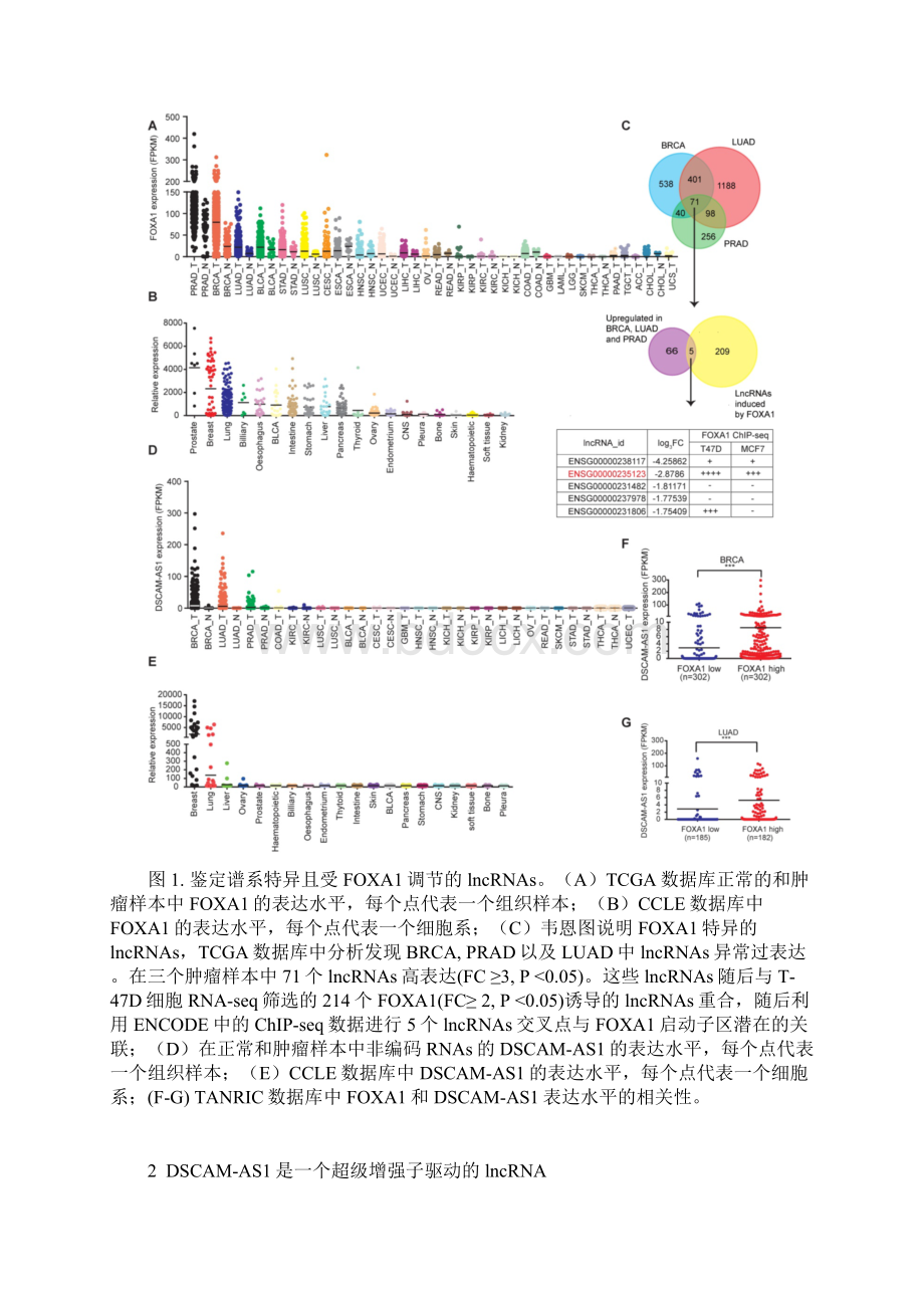 LncRNA DSCAMAS1与YBX1互作激活FOXA1转录网络正反馈环促进癌症的进展Word文档下载推荐.docx_第3页