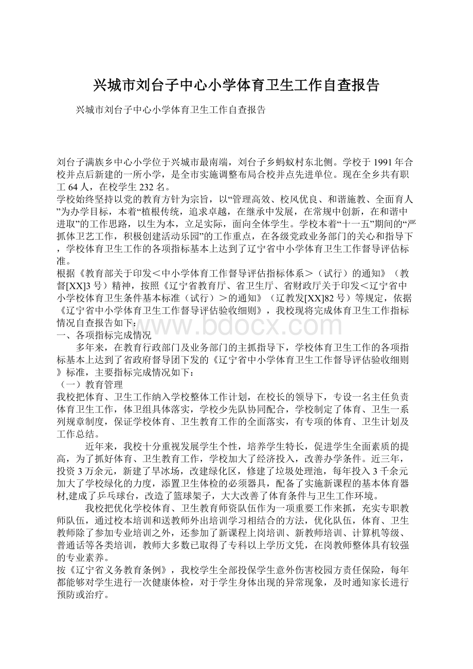 兴城市刘台子中心小学体育卫生工作自查报告.docx