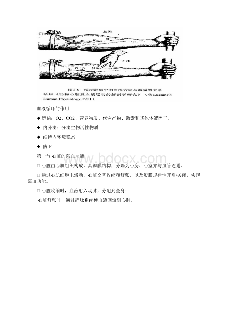 血液循环.docx_第2页