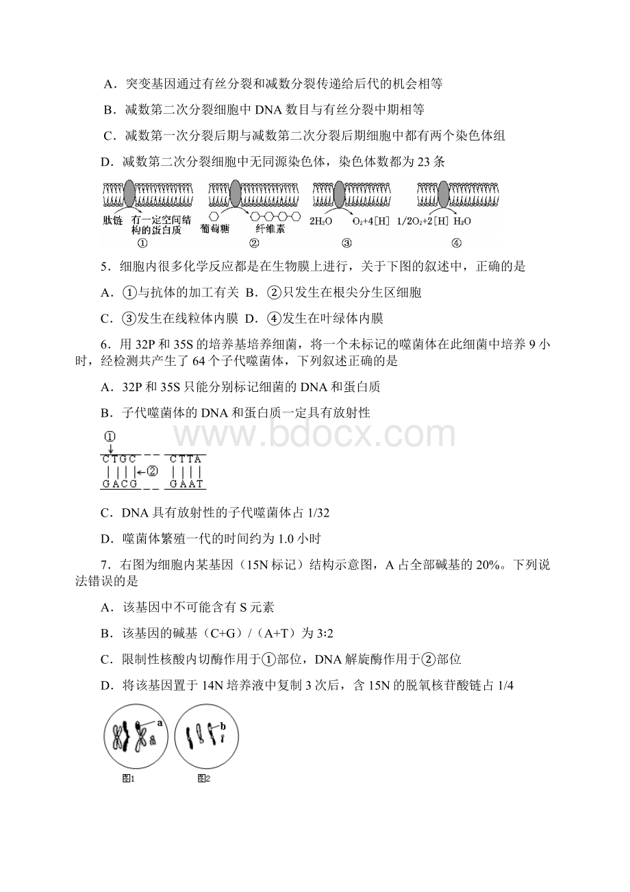 苏北四市届高三年级第三次模拟考试生物试题word版有答案.docx_第2页