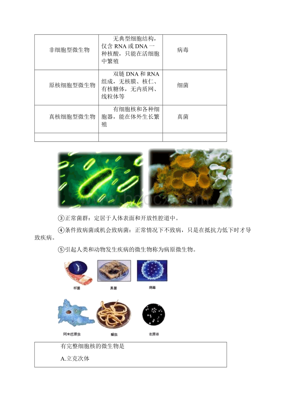 卫生类主管药师考试基础知识讲义微生物学文档格式.docx_第2页