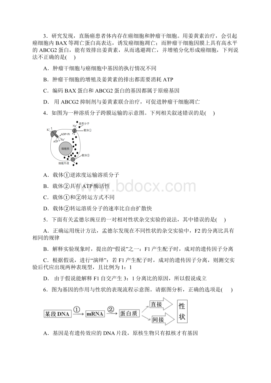 安徽省马鞍山二中安师大附中届高三理综阶段性测试试题Word文档下载推荐.docx_第2页