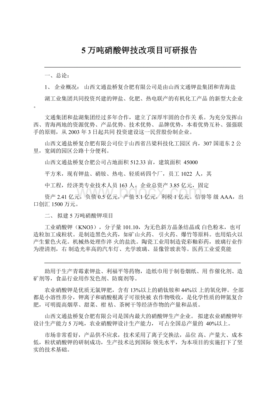 5万吨硝酸钾技改项目可研报告Word文档下载推荐.docx_第1页