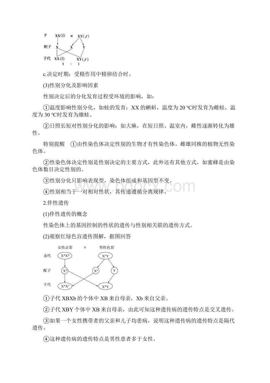 届高考生物一轮复习第六单元第13讲伴性遗传学案中图版必修2.docx_第2页