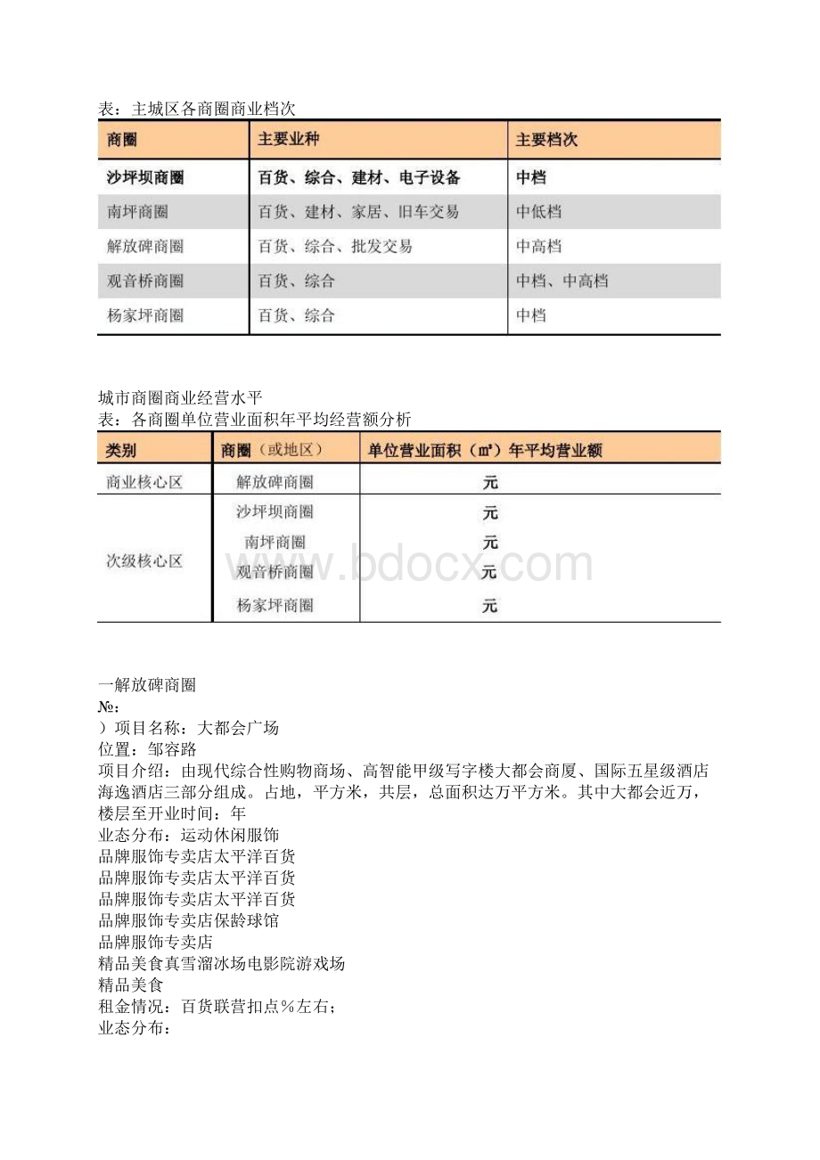 重庆主要5大商圈市场调研分析报告.docx_第3页
