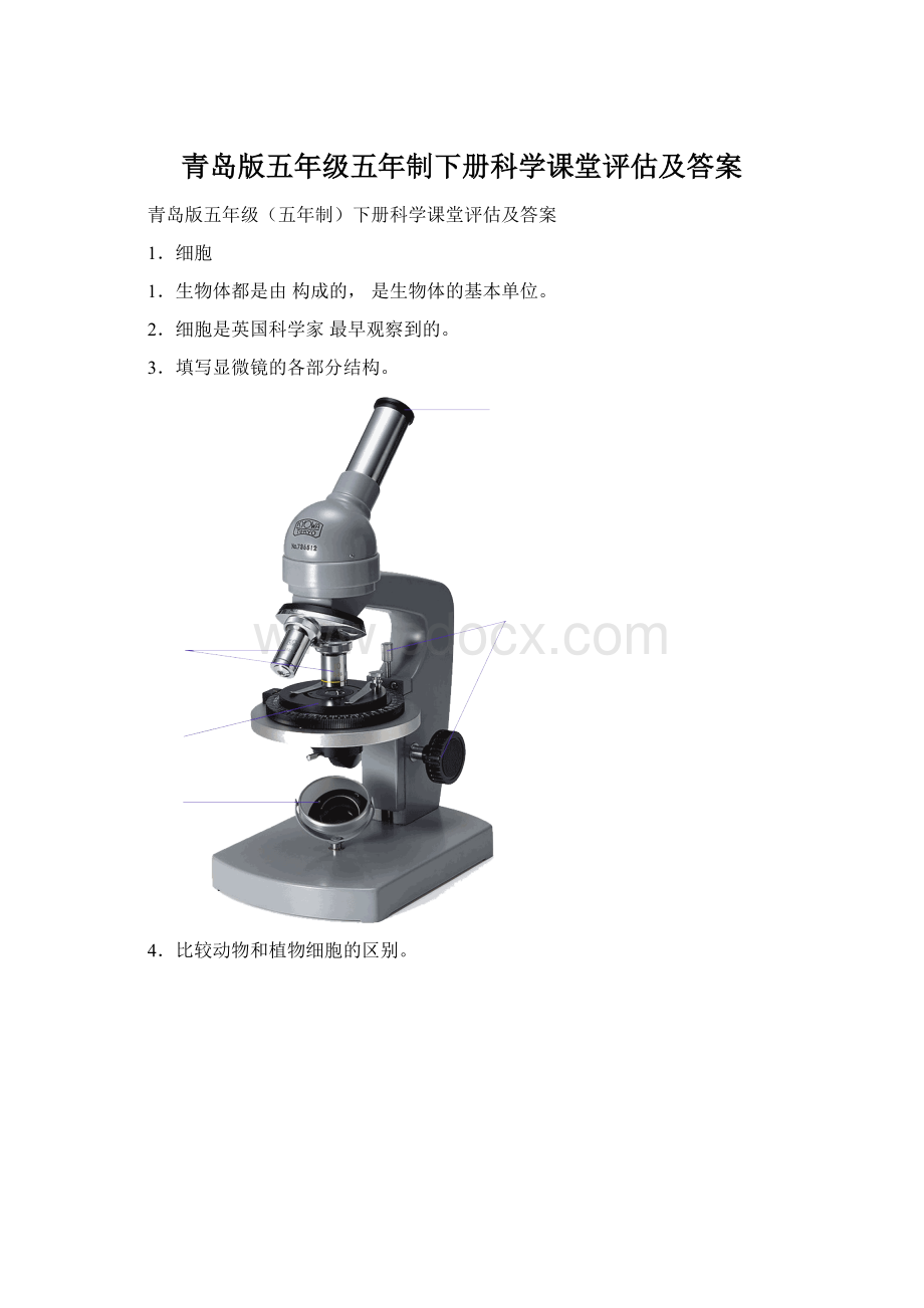 青岛版五年级五年制下册科学课堂评估及答案文档格式.docx