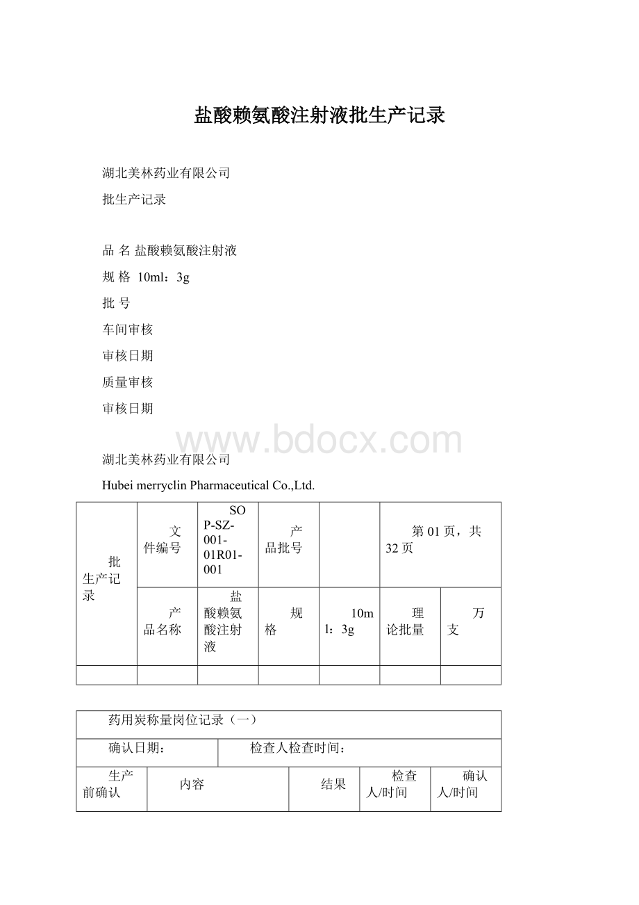 盐酸赖氨酸注射液批生产记录.docx_第1页