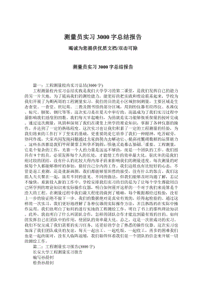 测量员实习3000字总结报告.docx