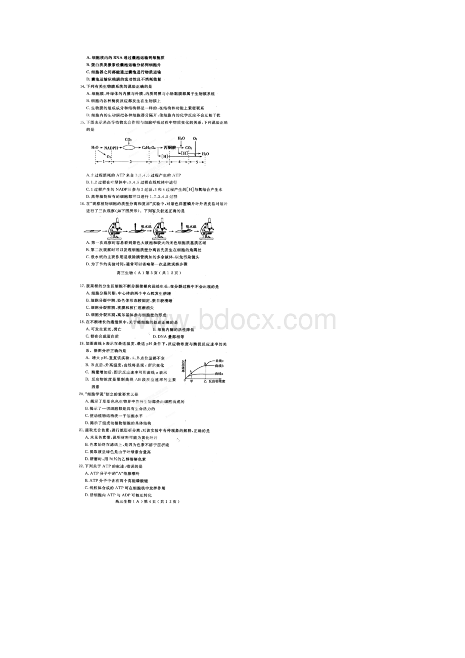 河南省洛阳市届高三上学期期中考试生物试题扫描版Word文档格式.docx_第2页