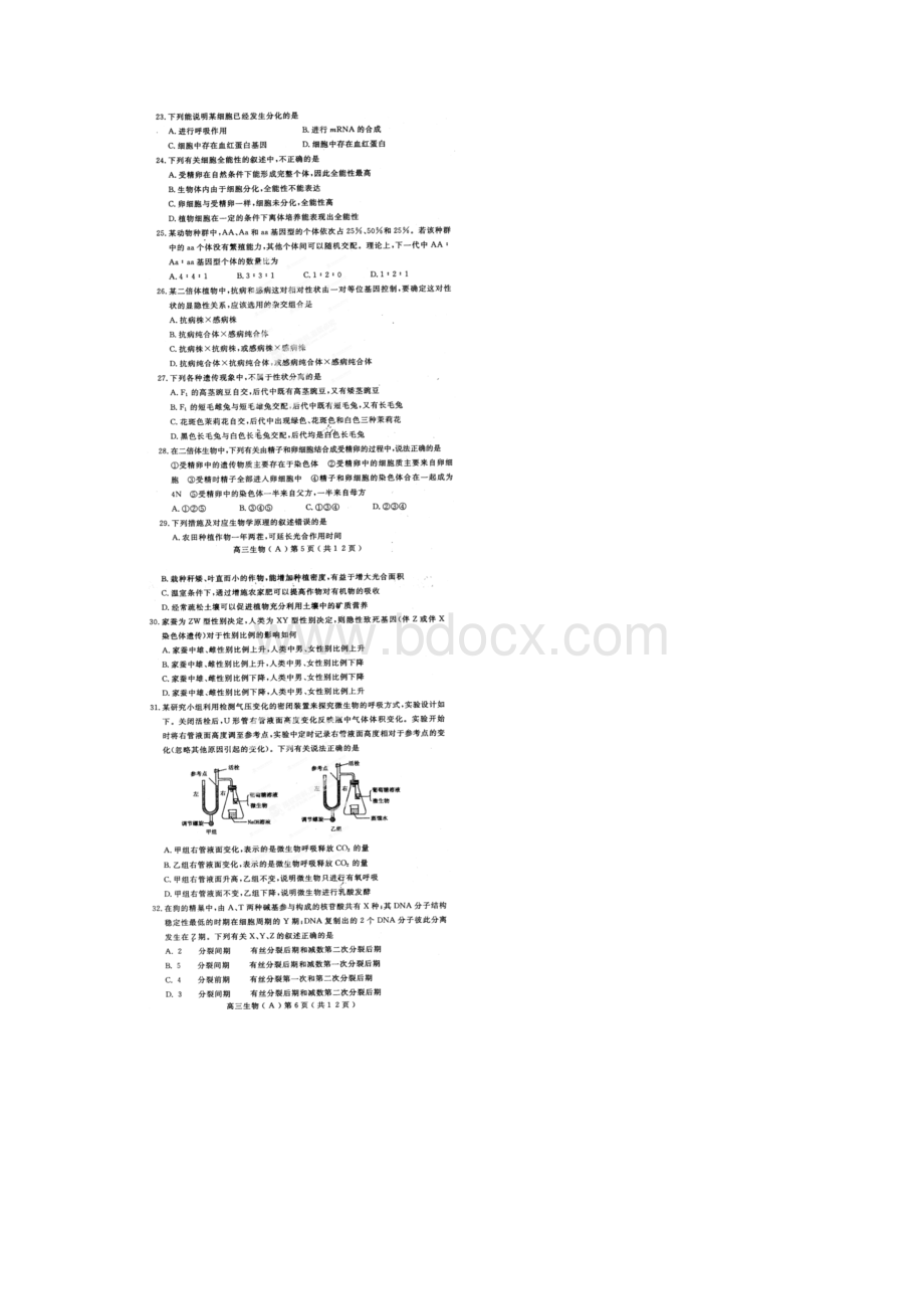 河南省洛阳市届高三上学期期中考试生物试题扫描版Word文档格式.docx_第3页