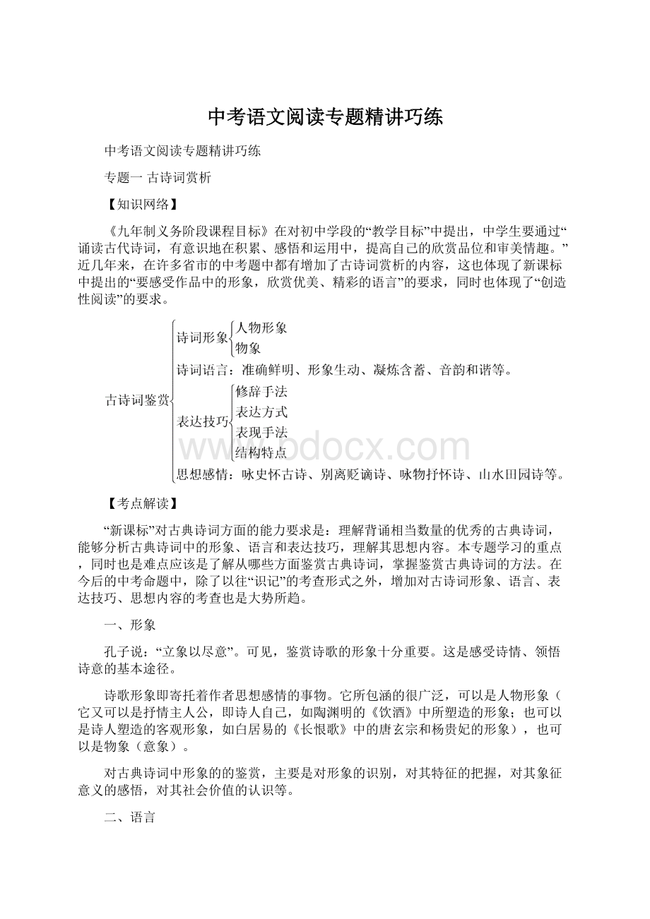 中考语文阅读专题精讲巧练.docx