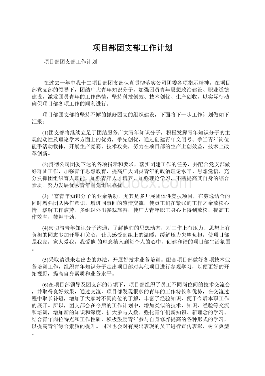 项目部团支部工作计划Word文件下载.docx