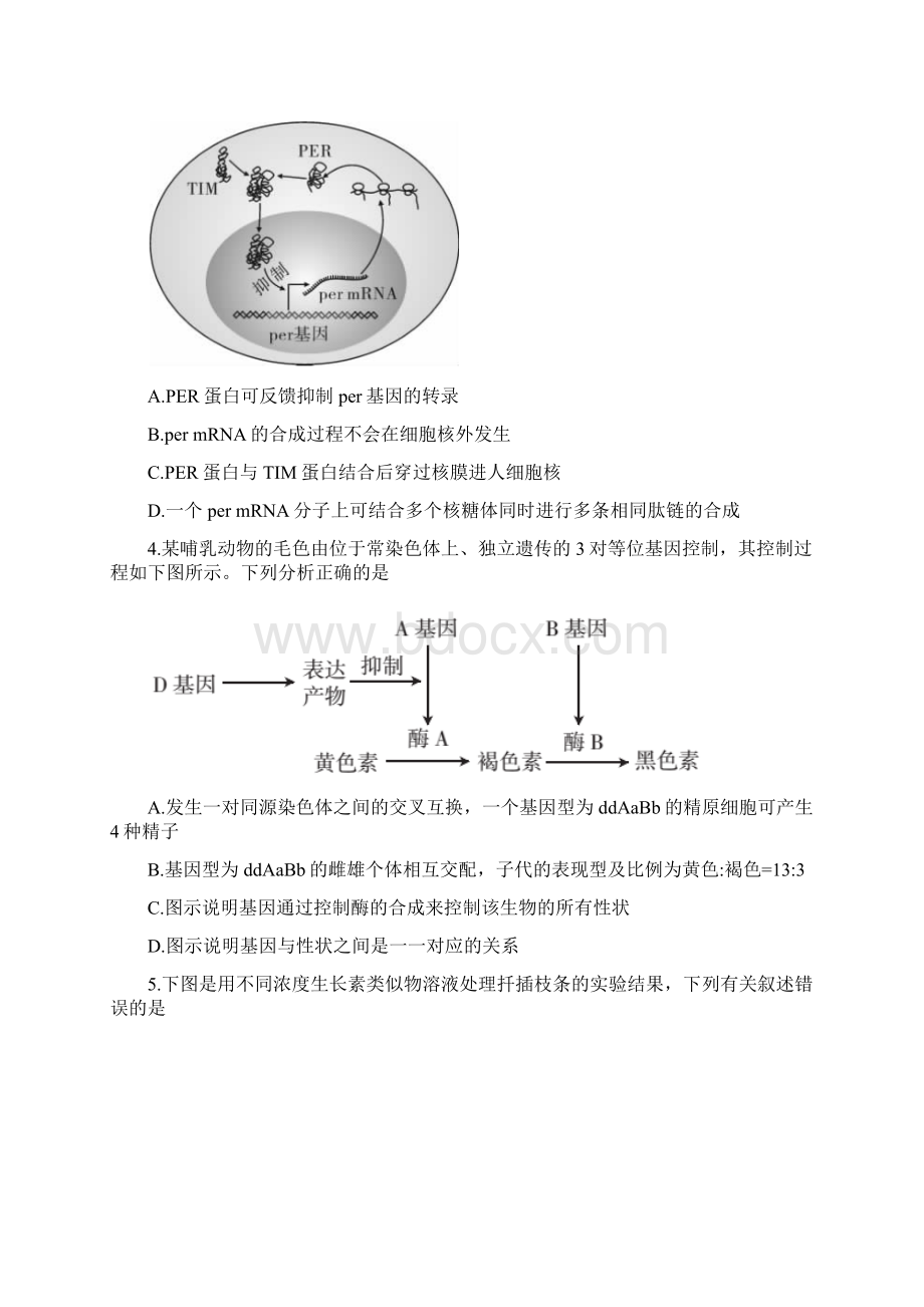 山西省届高三第二次模拟考试理科综合试题.docx_第2页