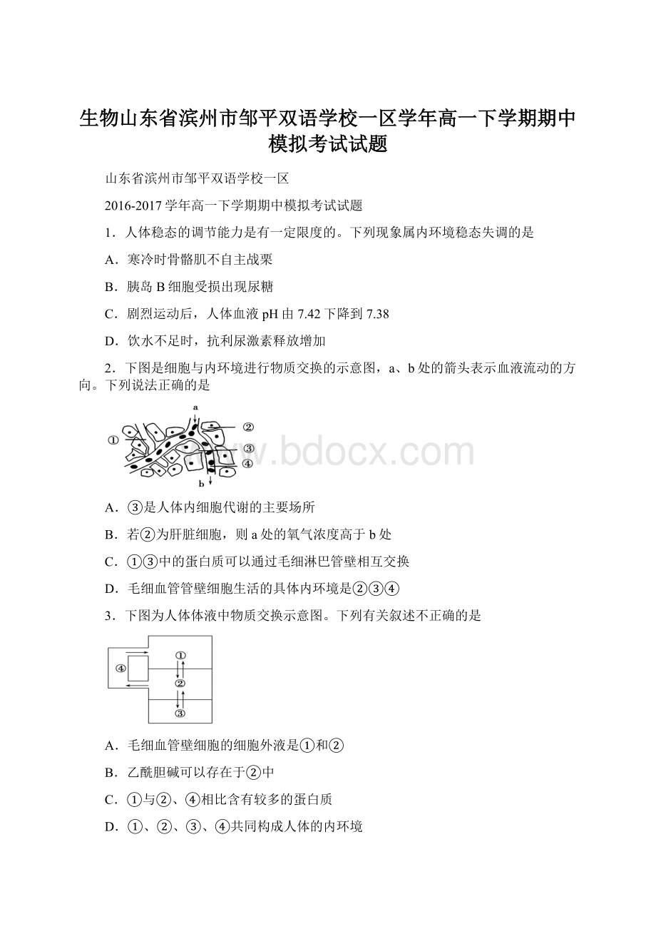 生物山东省滨州市邹平双语学校一区学年高一下学期期中模拟考试试题Word文档格式.docx