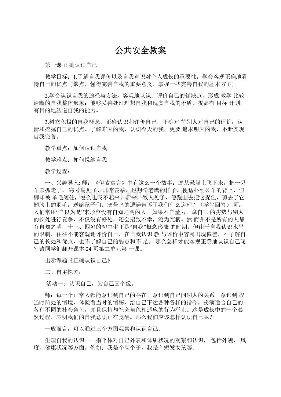 公共安全教案文档格式.docx